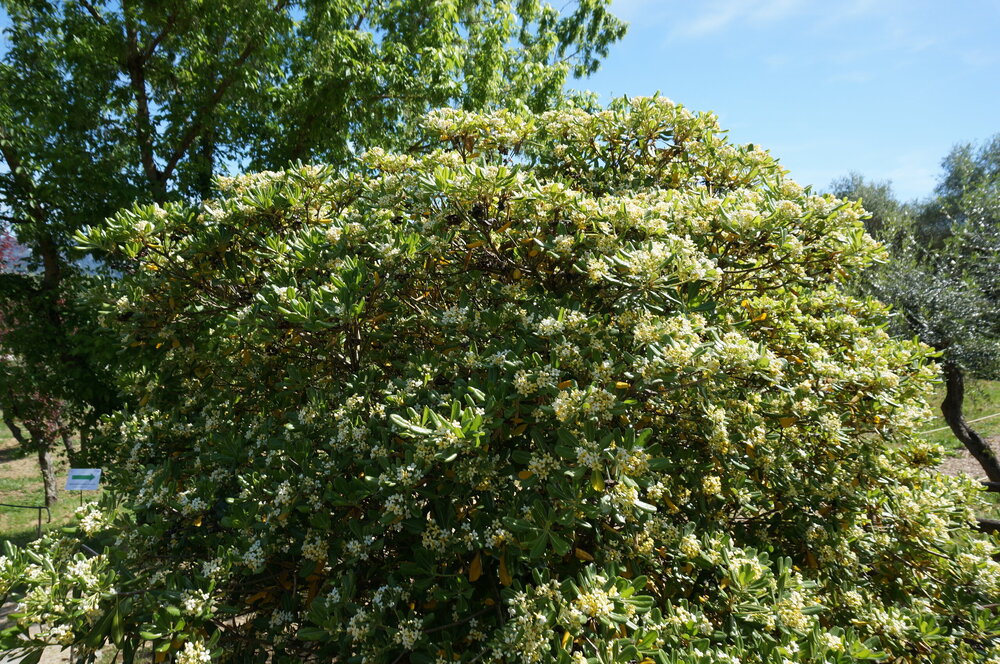 DSC07422.JPG