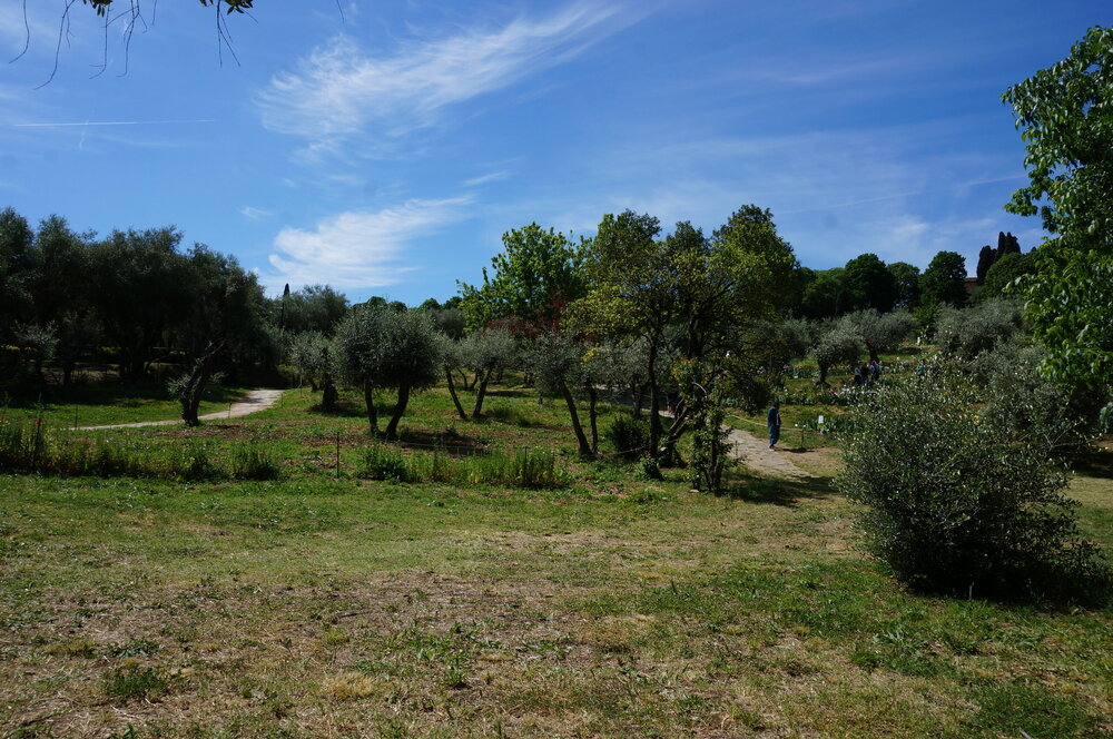 DSC07429.JPG