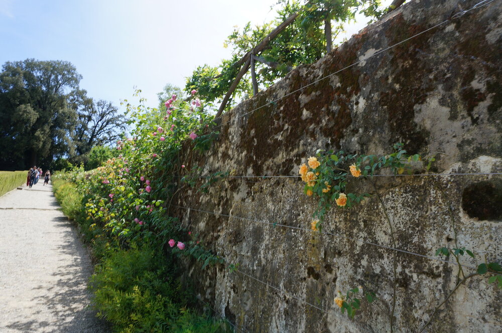 DSC07439.JPG