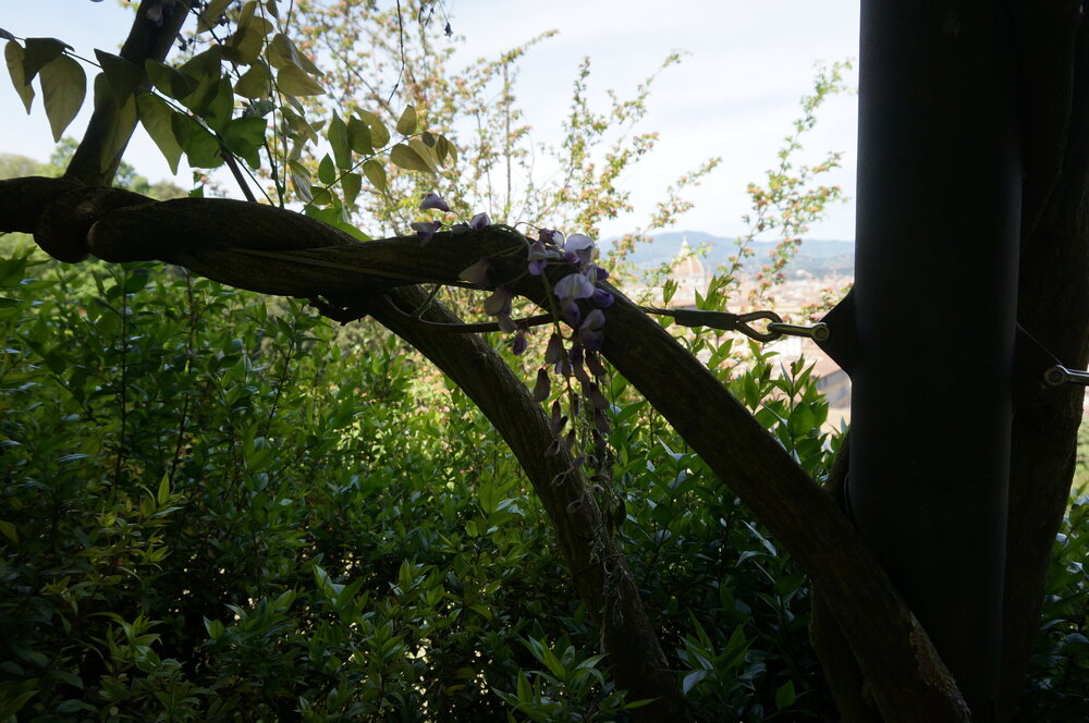 DSC07448.JPG