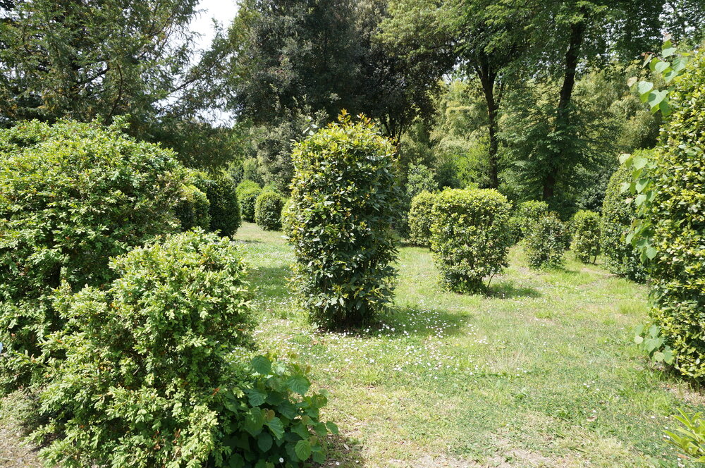 DSC07496.JPG