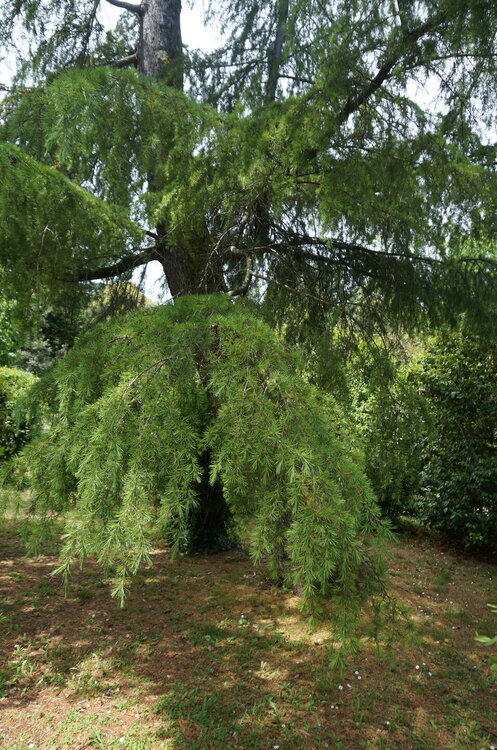 DSC07497.JPG