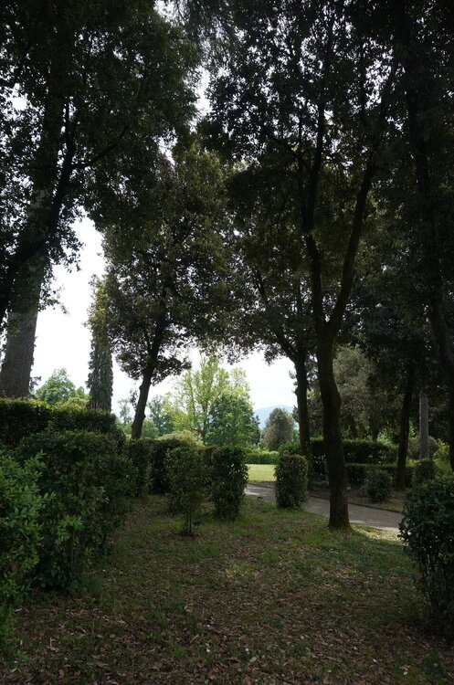 DSC07499.JPG