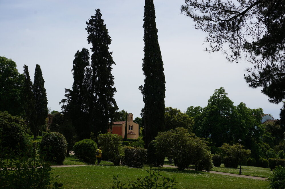 DSC07501.JPG