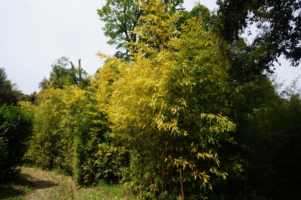 DSC07503.JPG