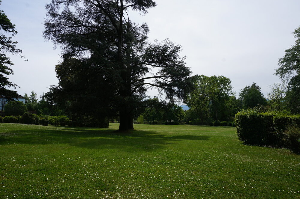 DSC07504.JPG