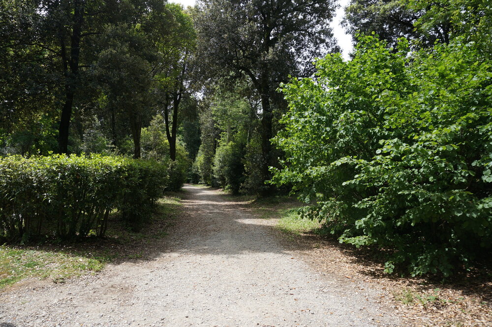 DSC07508.JPG