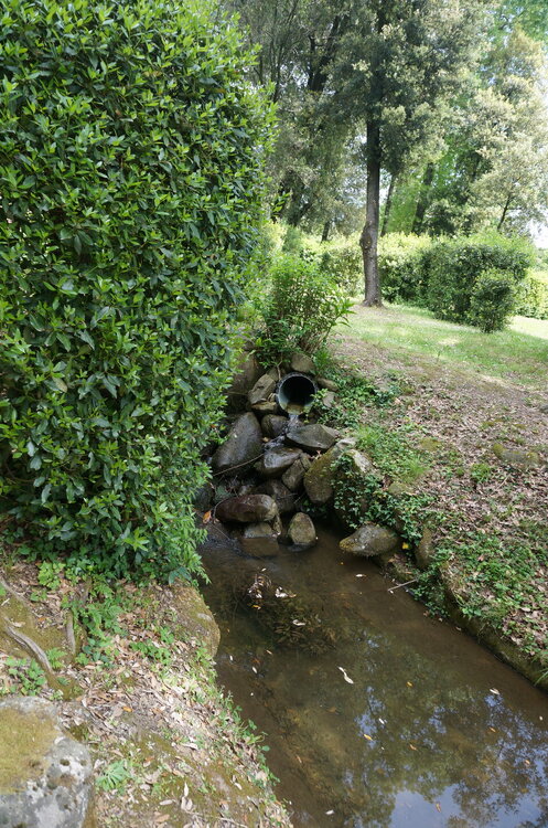 DSC07510.JPG