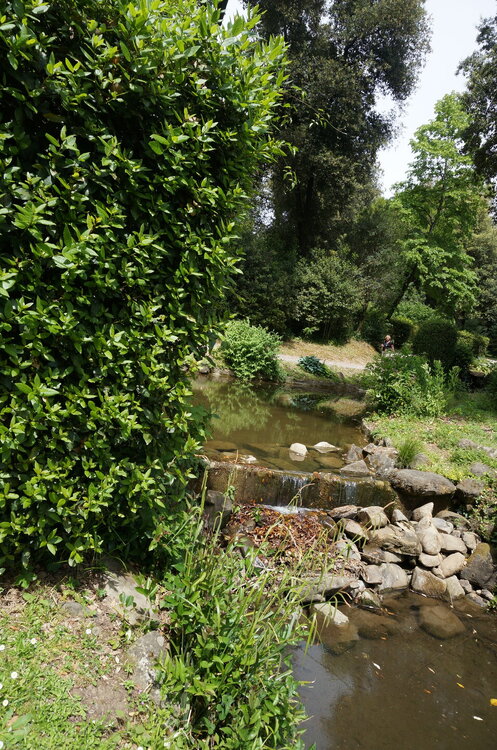 DSC07512.JPG