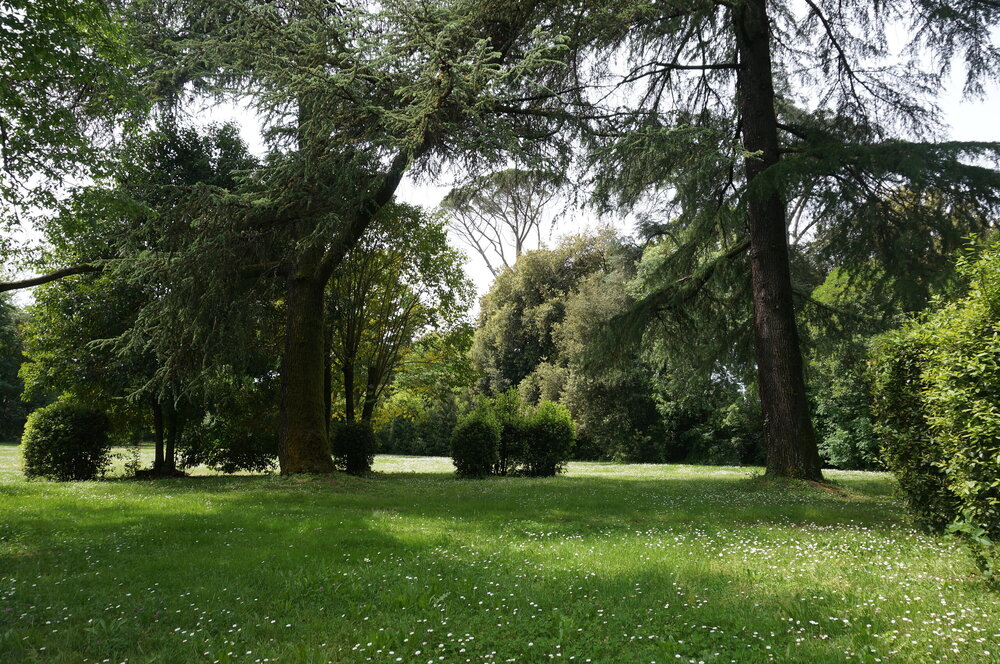 DSC07514.JPG