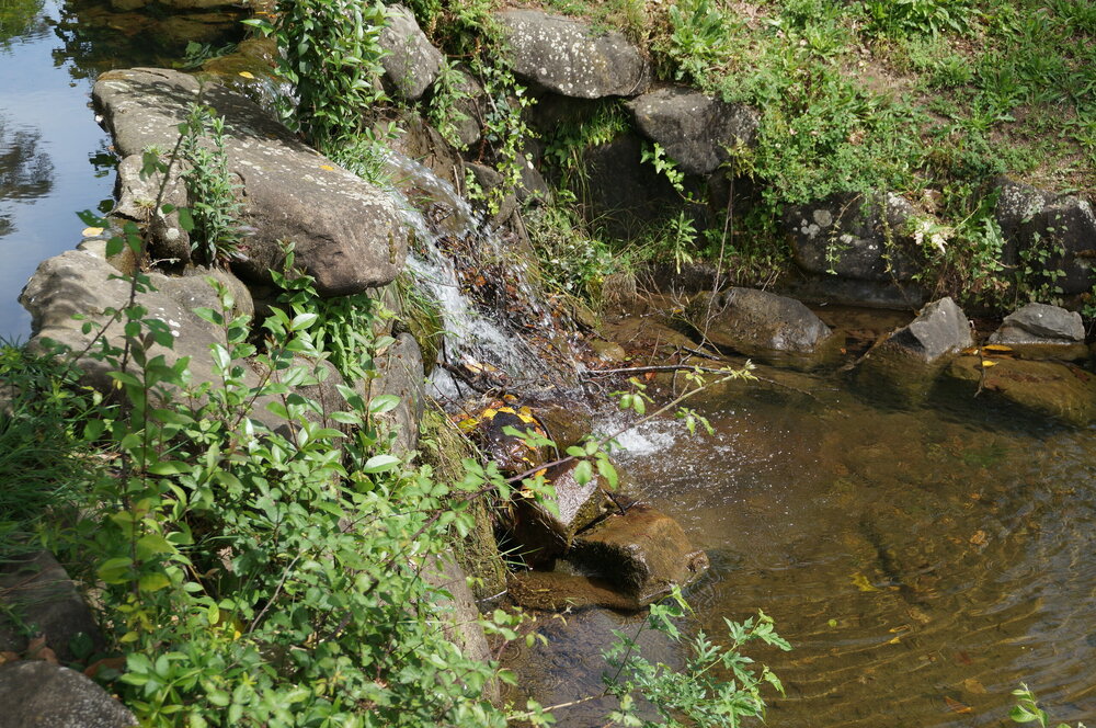 DSC07515.JPG