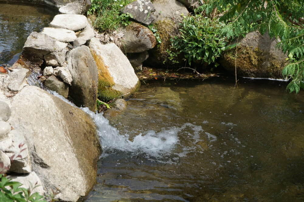 DSC07521.JPG