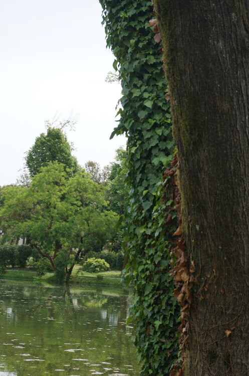 DSC07524.JPG