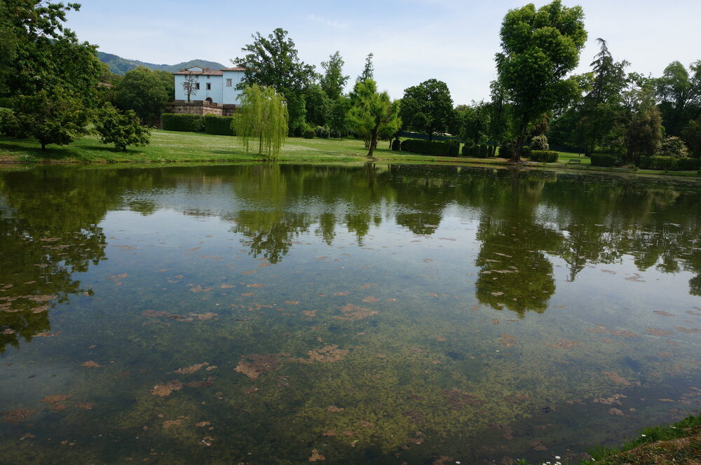 DSC07525.JPG