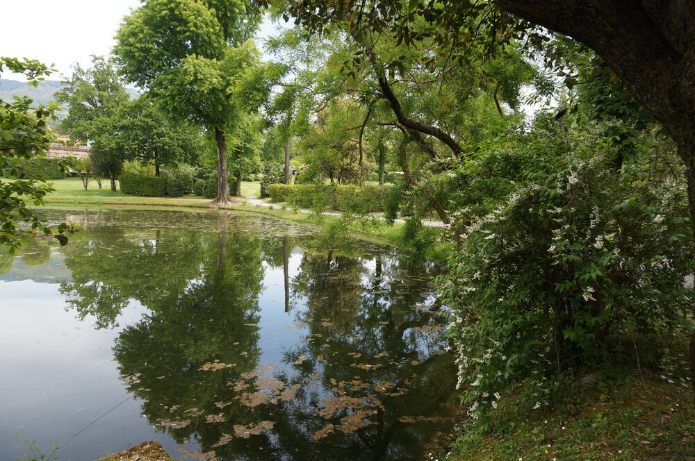 DSC07535.JPG