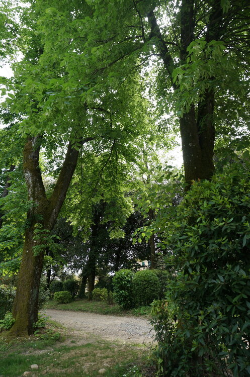 DSC07536.JPG