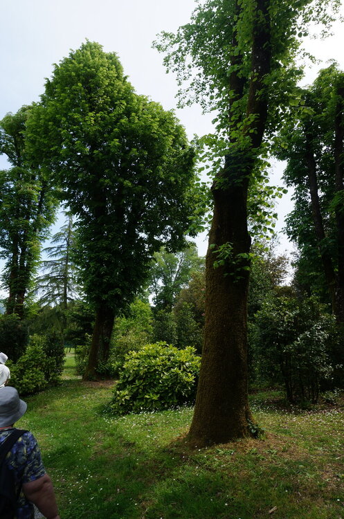 DSC07537.JPG