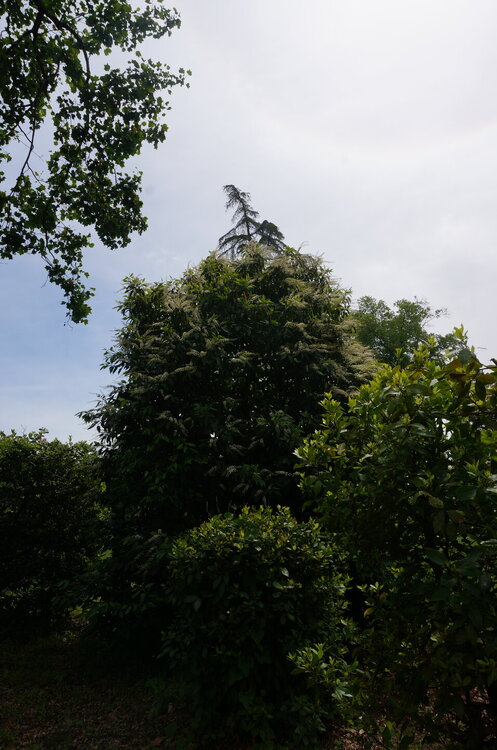 DSC07539.JPG