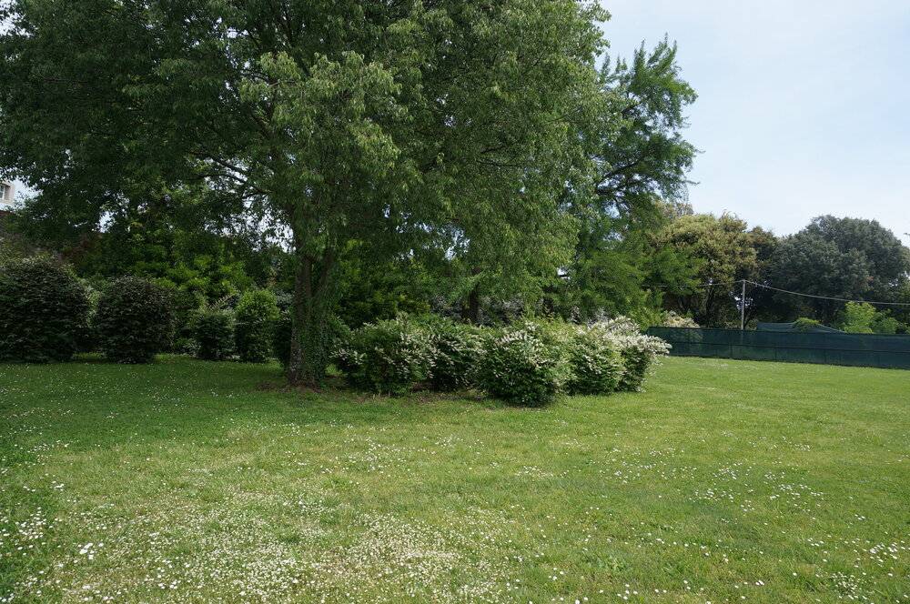 DSC07543.JPG
