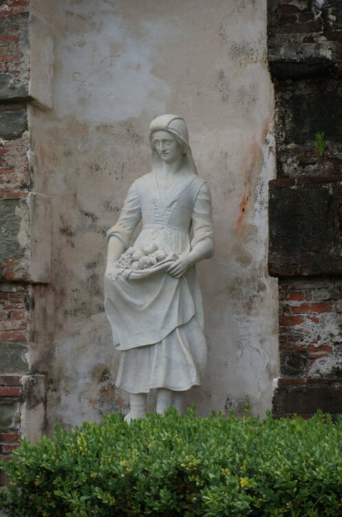 DSC07546.JPG