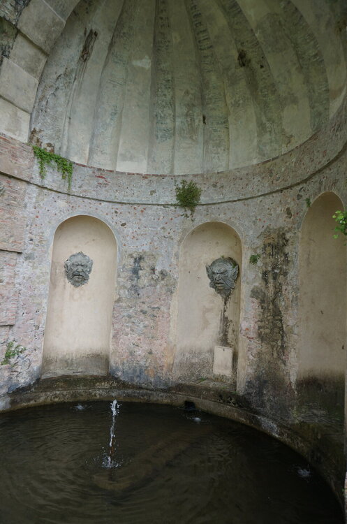 DSC07548.JPG