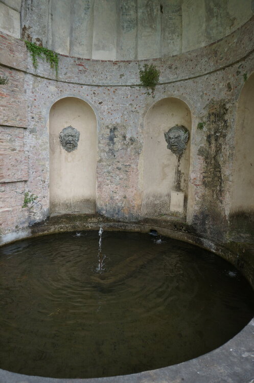 DSC07549.JPG