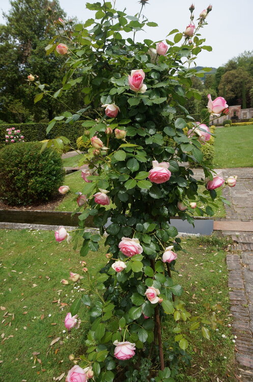 DSC07561.JPG
