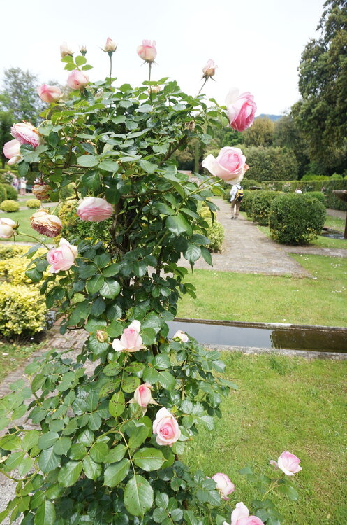 DSC07562.JPG
