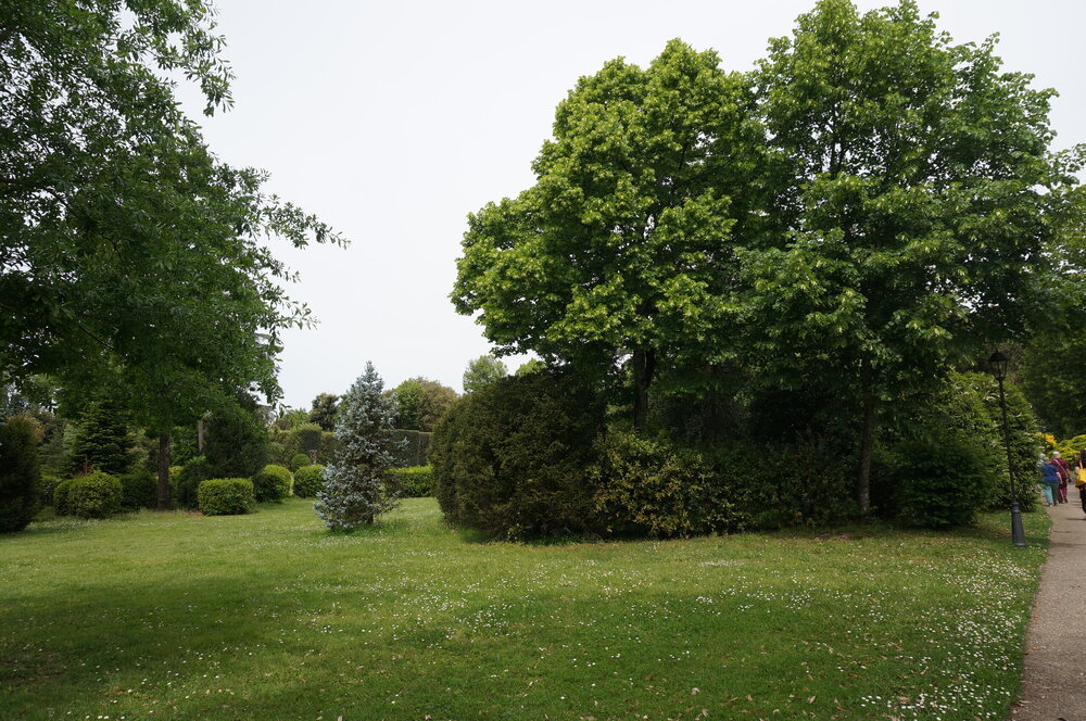 DSC07564.JPG