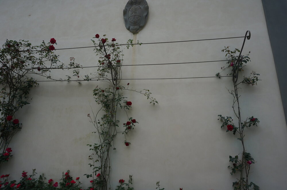 DSC07567.JPG