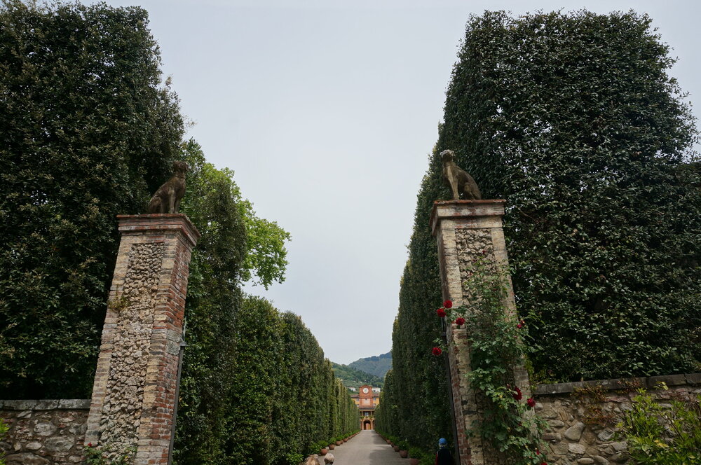 DSC07568.JPG