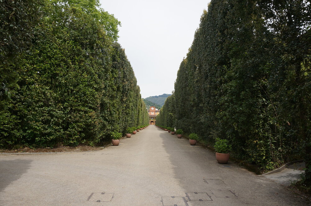 DSC07569.JPG