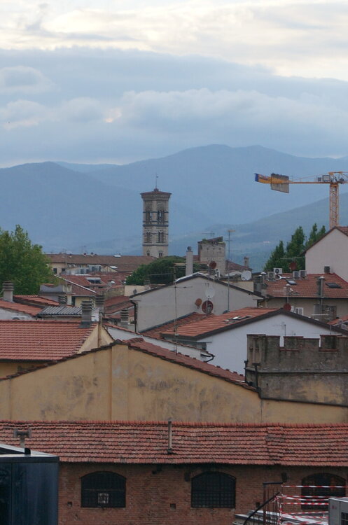 DSC07571.JPG