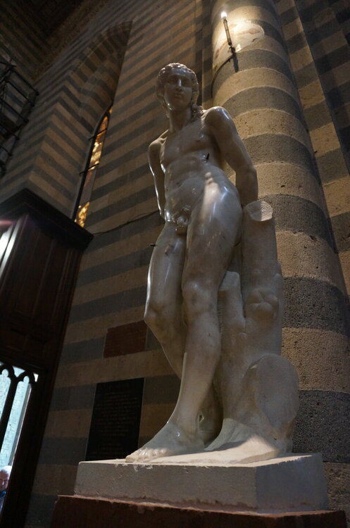 DSC07577.JPG