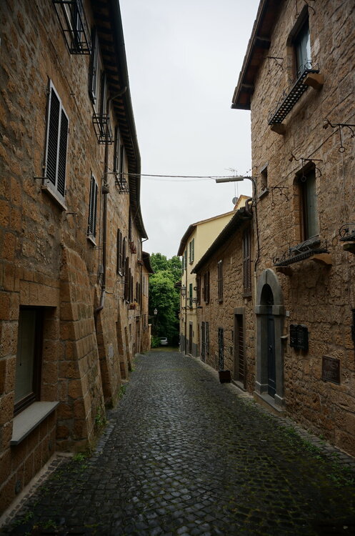 DSC07661.JPG