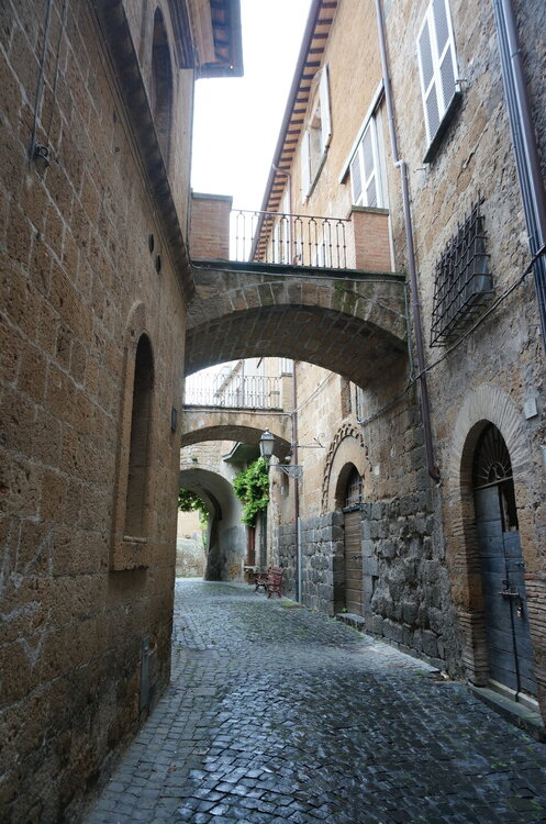 DSC07665.JPG