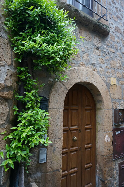 DSC07667.JPG