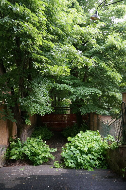 DSC07671.JPG