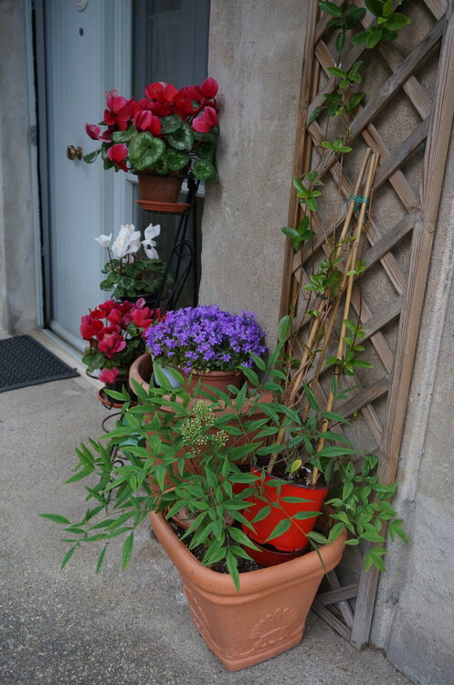 DSC07683.JPG