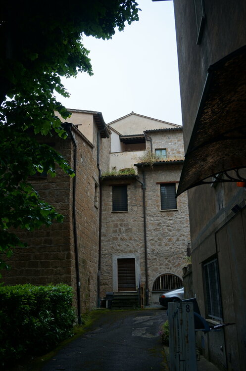 DSC07684.JPG