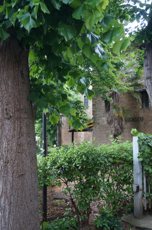 DSC07685.JPG