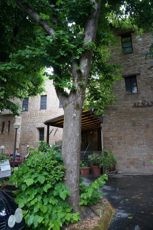 DSC07686.JPG