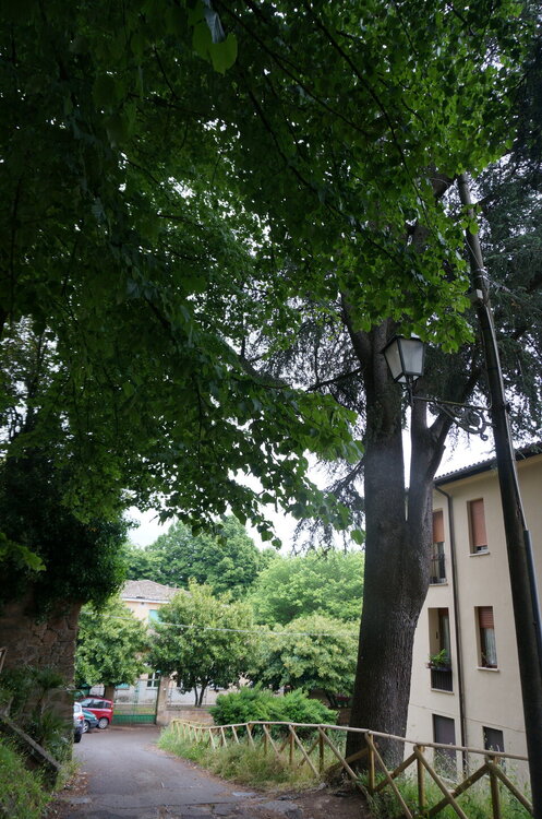 DSC07688.JPG