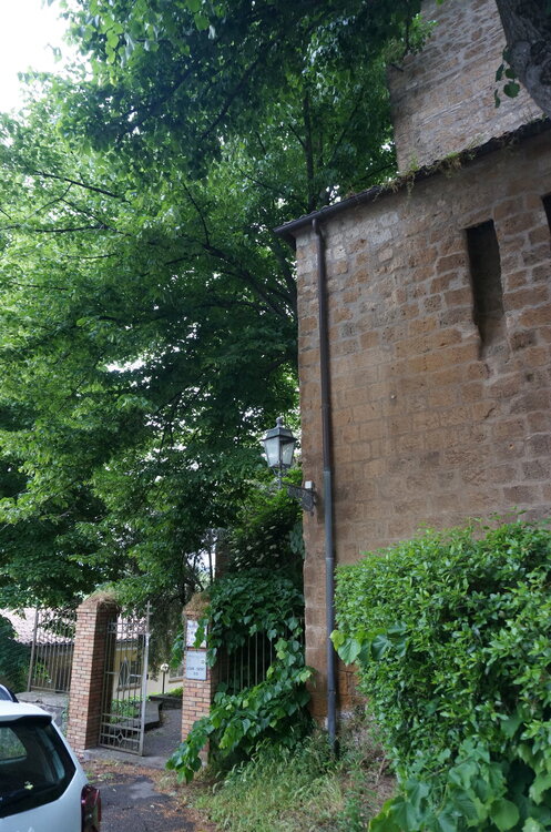 DSC07690.JPG
