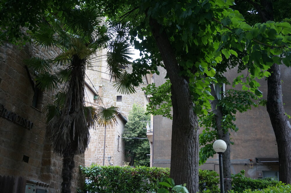 DSC07694.JPG