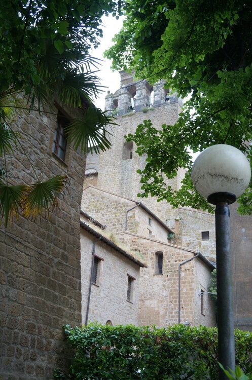 DSC07695.JPG