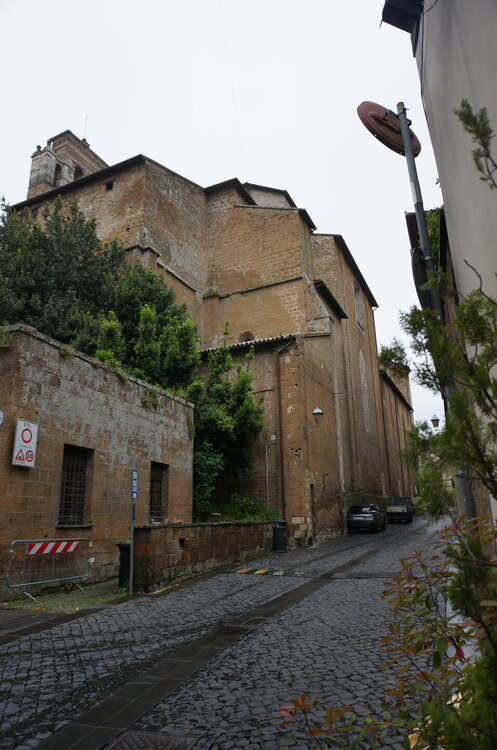 DSC07698.JPG
