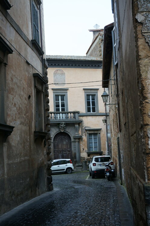 DSC07700.JPG
