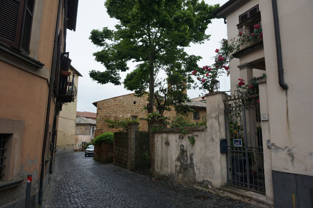 DSC07703.JPG