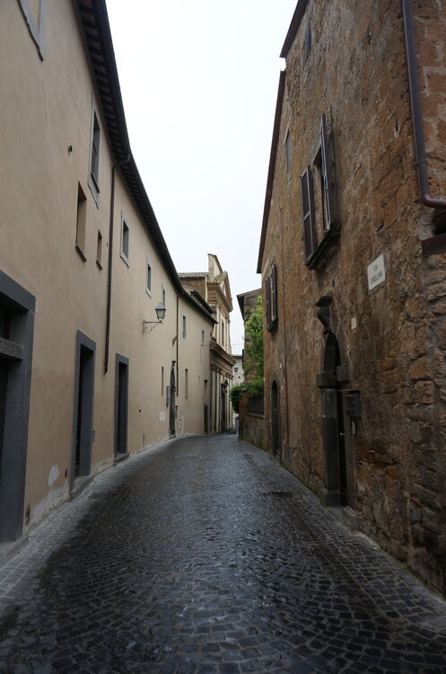 DSC07704.JPG